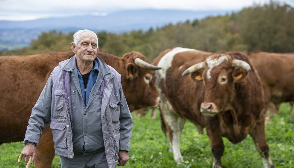 Hombre anciano con D.I. pastoreando el ganado de la Asociación Prodeme